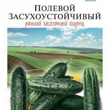 Огурец "Полевой засухоустойчивый"